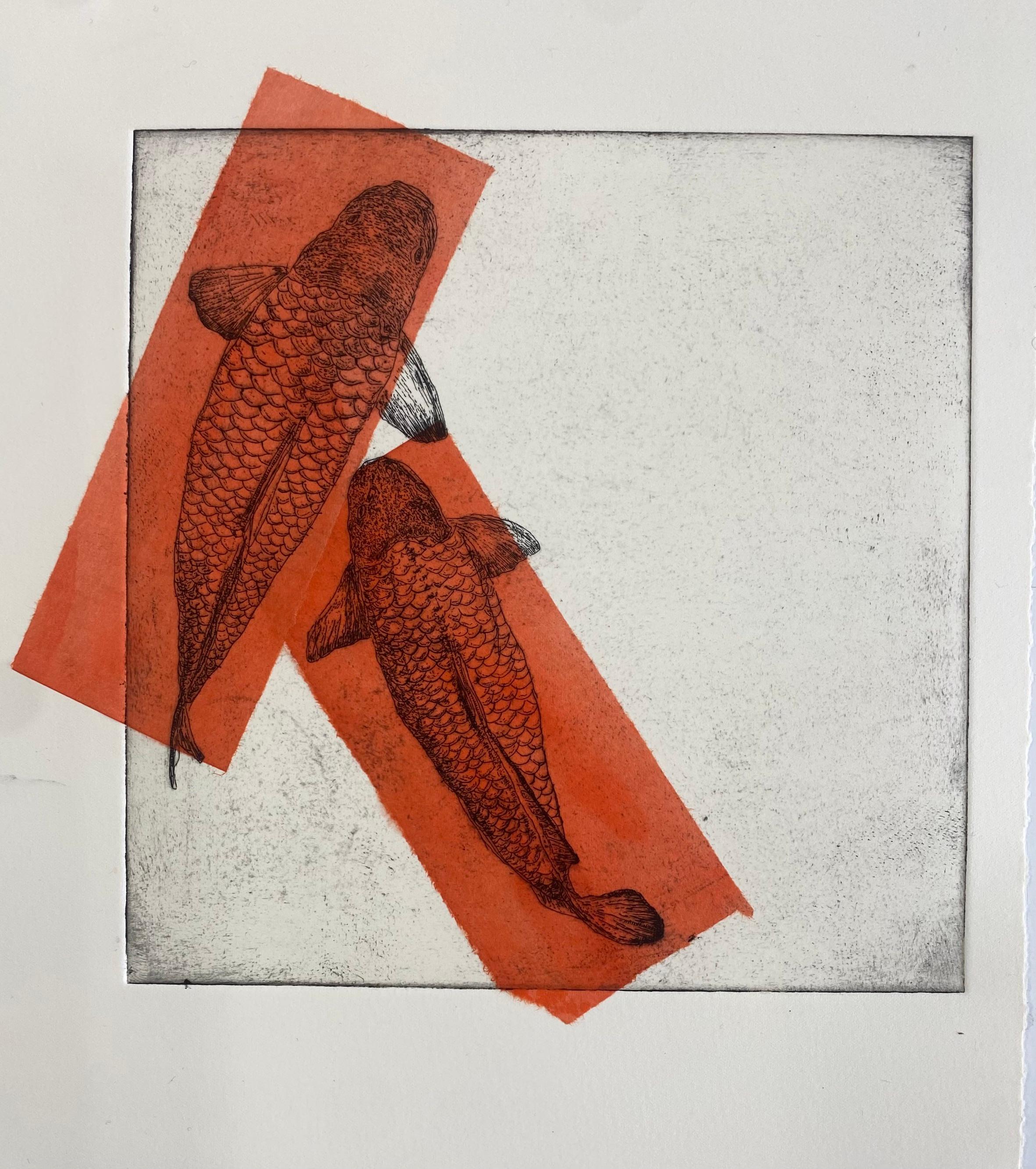 Two Koi, Both Orange