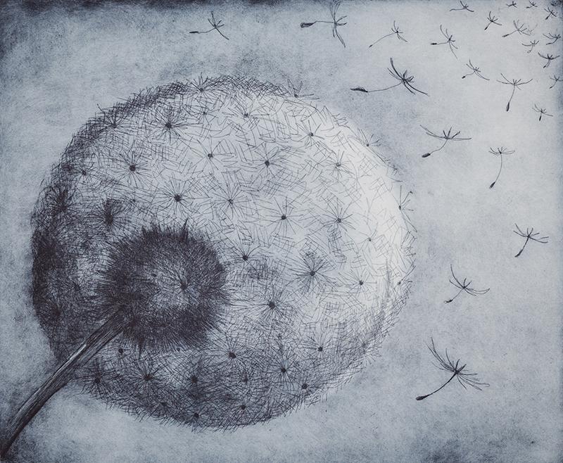 Dandelion seed