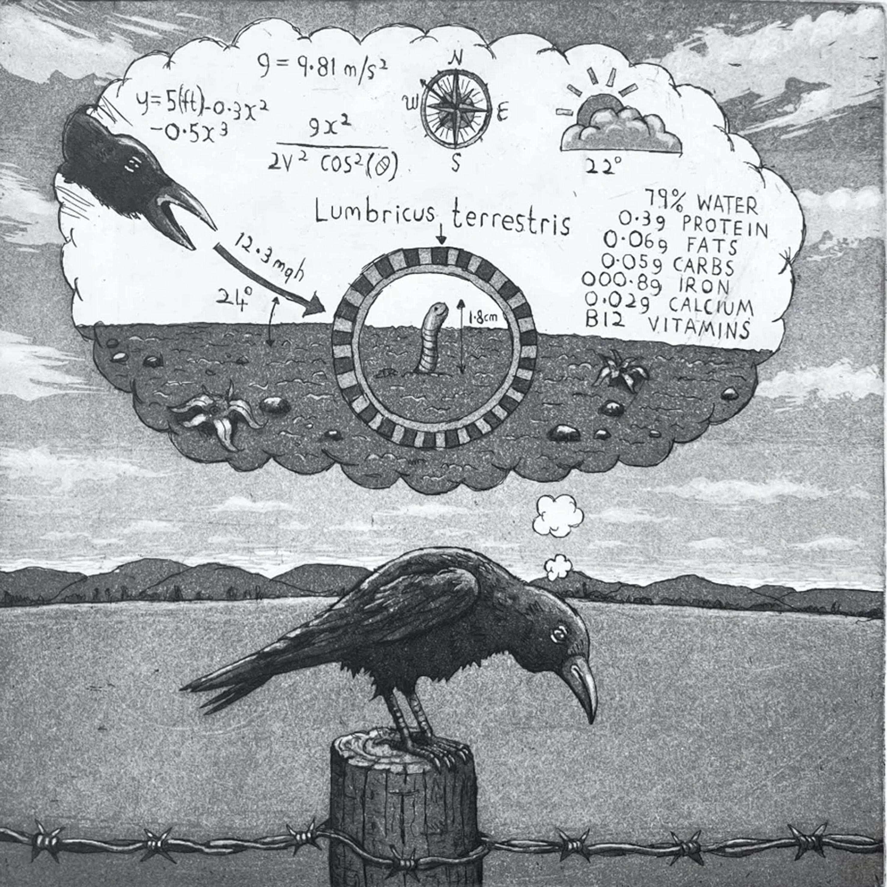 Crow