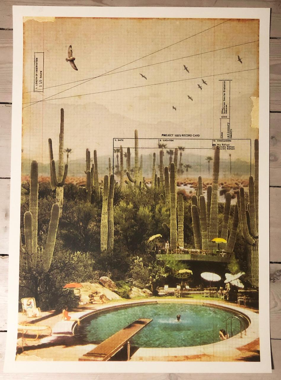 At the foot of the cacti