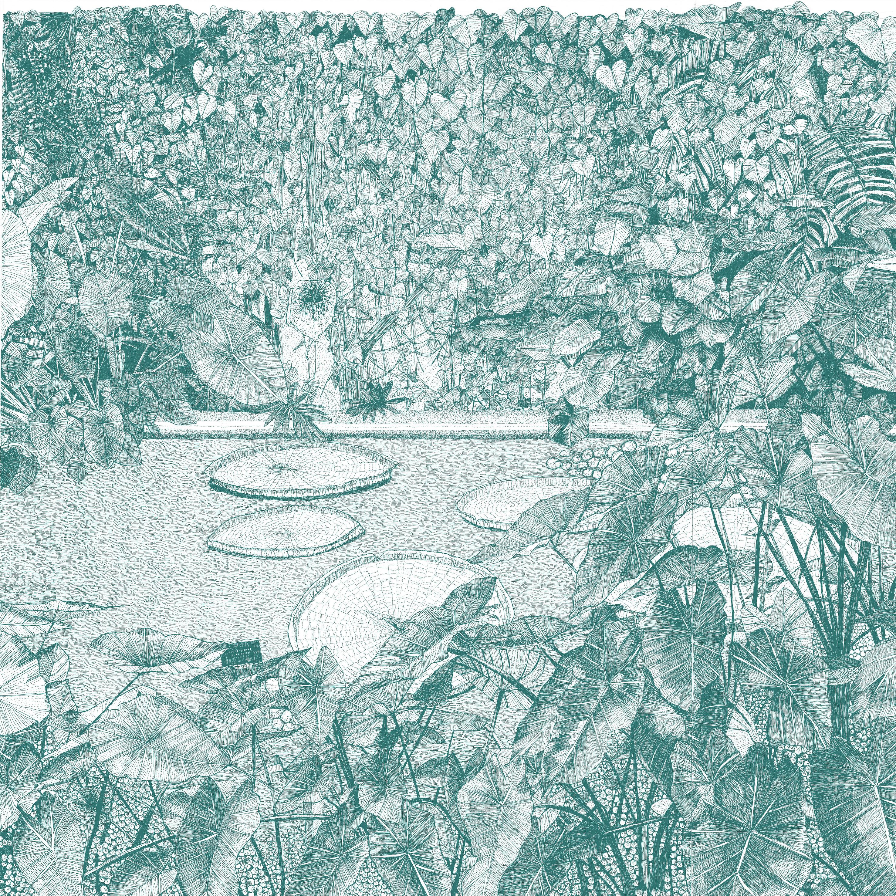 Greenhouse - Waterlily, large