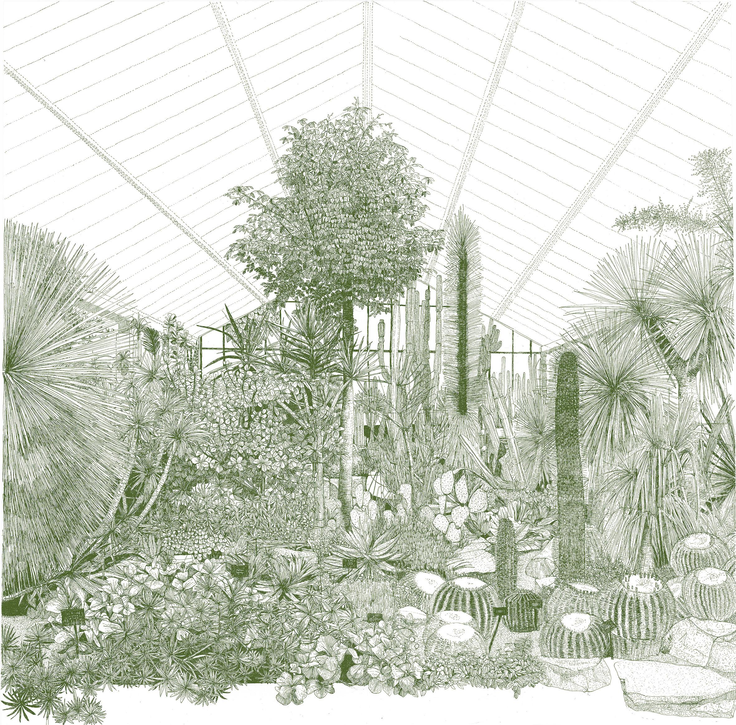 Greenhouse - cacti, large