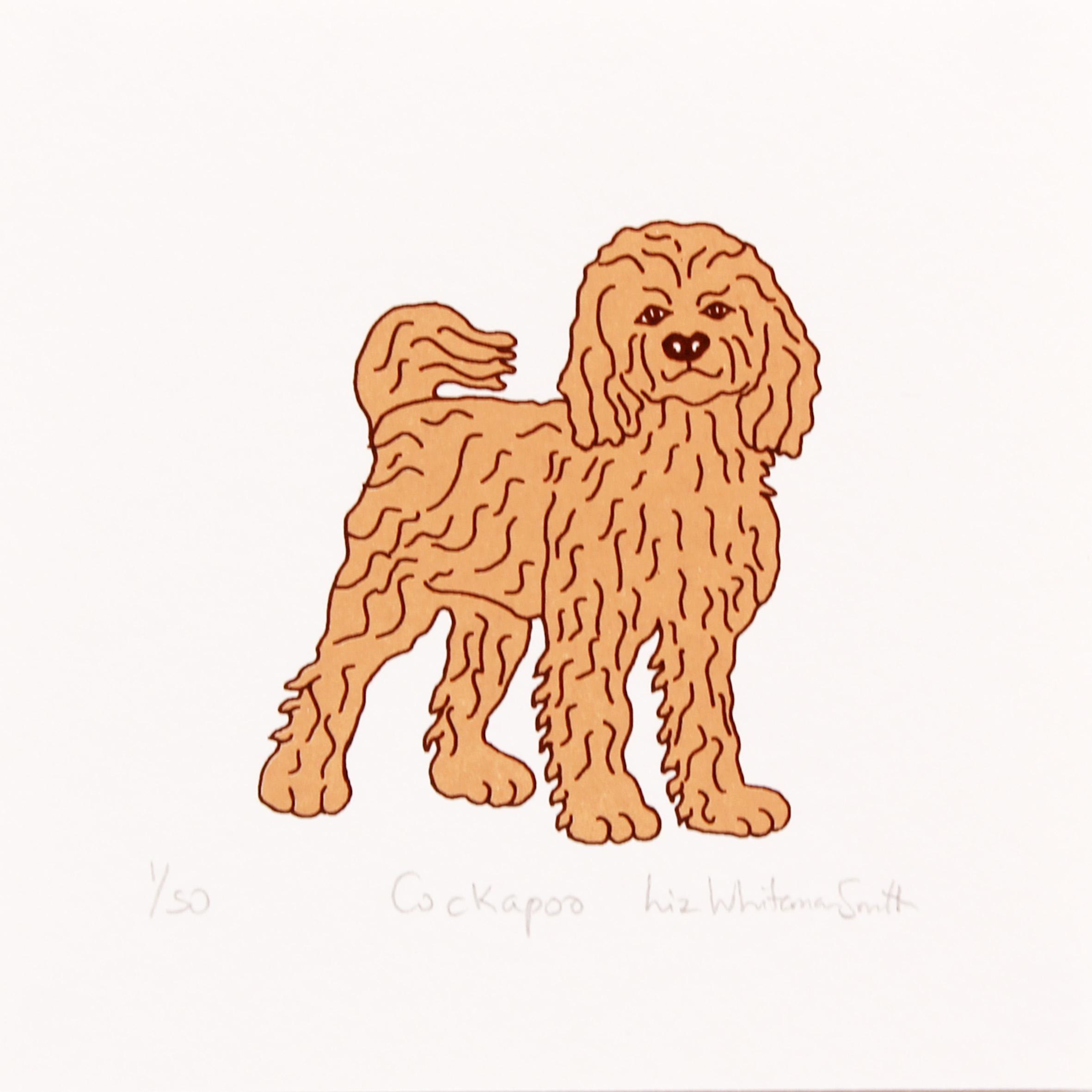 Cockapoo