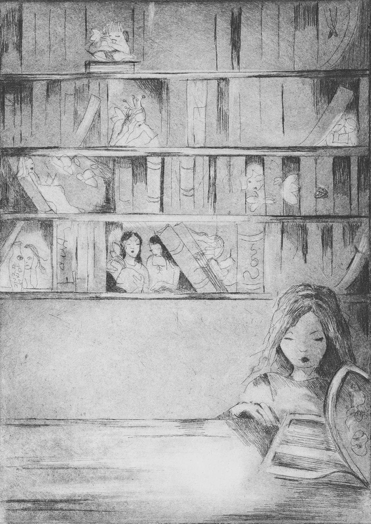 Fairy library