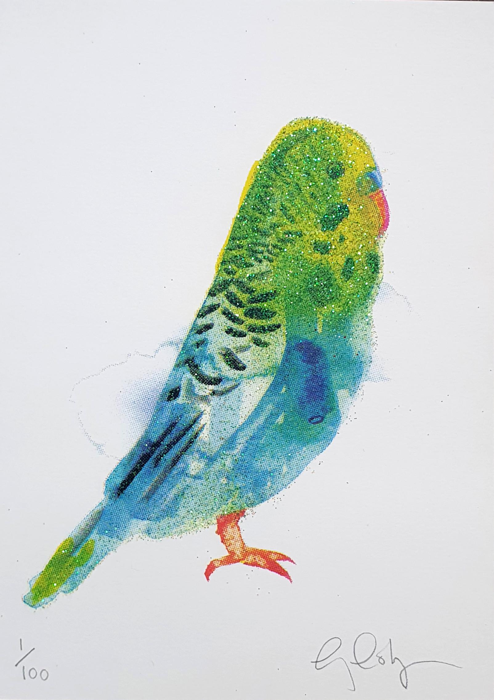Mini Budgie