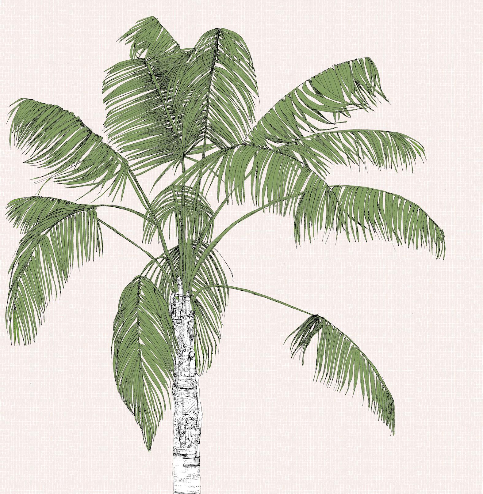 Palm array