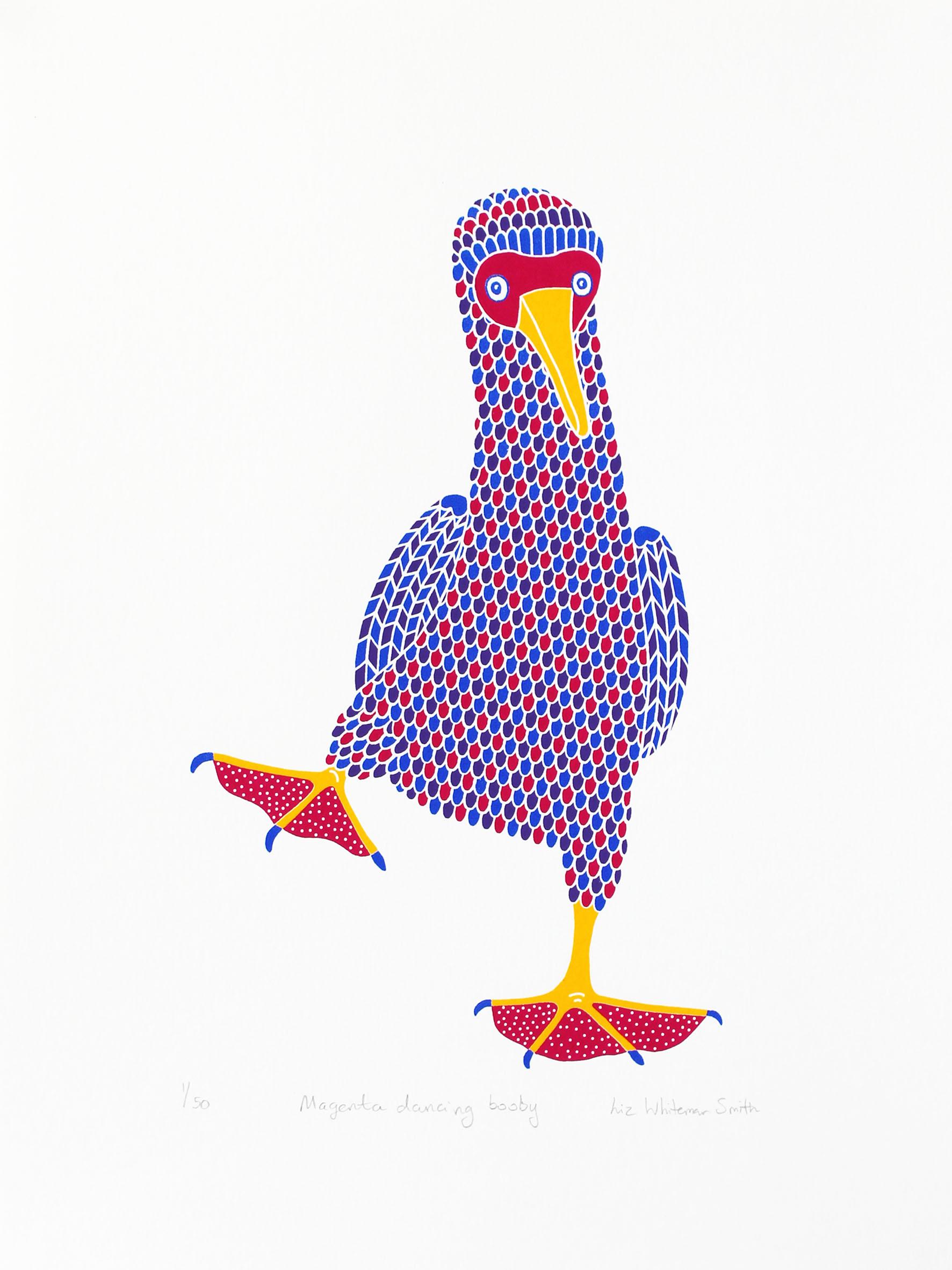 Magenta dancing booby