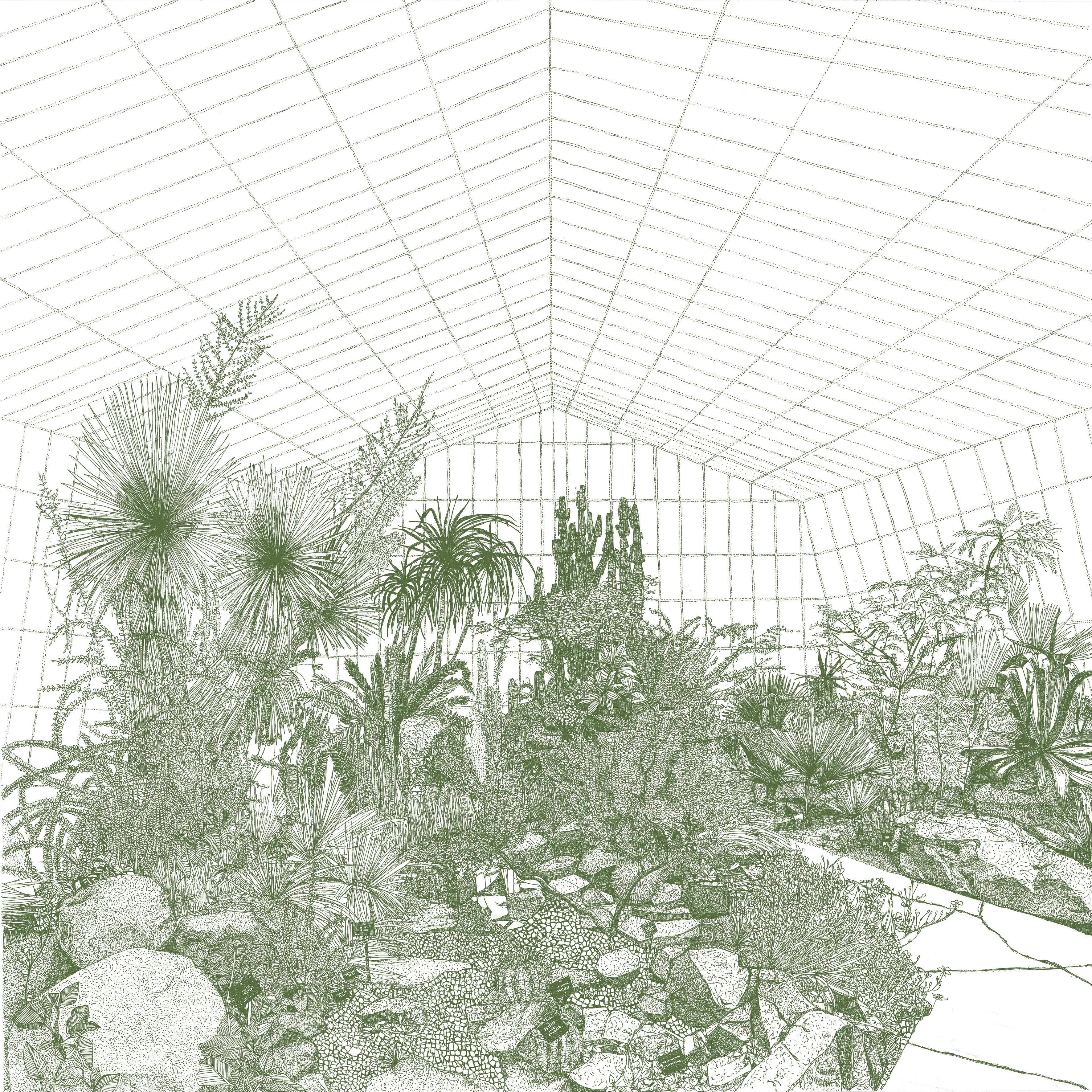 Greenhouse-Cacti